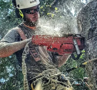 Kyle-Chainsaw