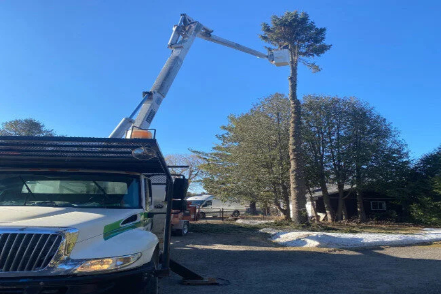 bucket bucket truck service